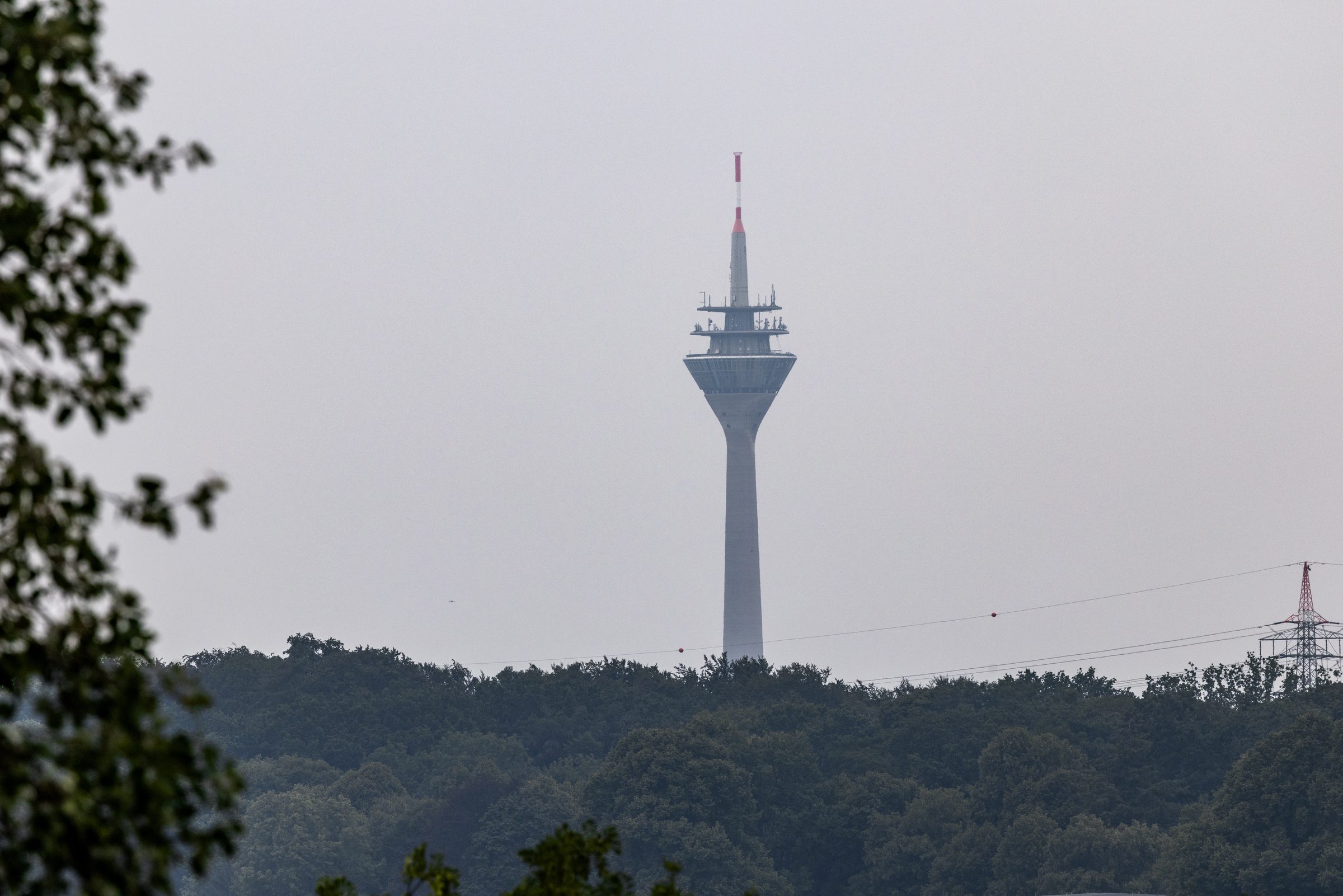 Blick über die Rheinauen zum Rheinturm Düsseldorf